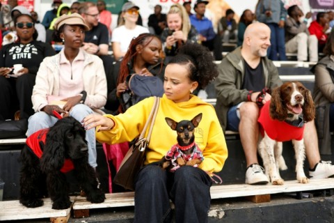 Nairobi’s dogs dazzle at ‘Pawchella’