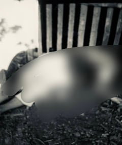 Elderly woman dies in freak truck wheel explosion in Dingle, Iloilo