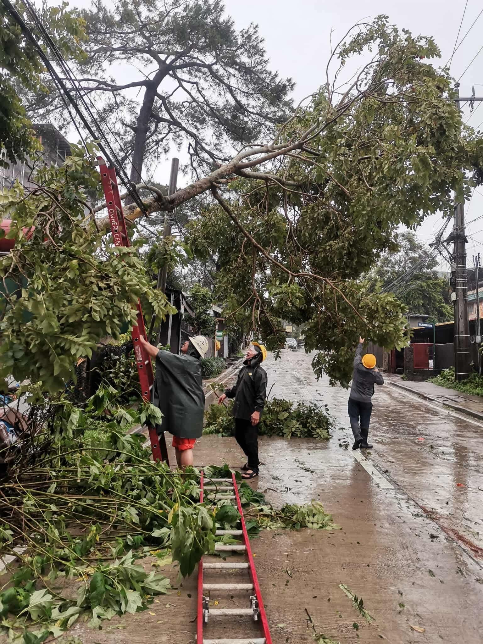 Baguio City Mayor Benjamin Magalong is appealing to the business sector in the city to help in the clearing of debris and other restoration efforts. In the photo, Barangay officials and workers and other volunteers were at full mobilization in cleaning the roads of their respective areas of responsibility. |Aldwin Quitasol. Photo via Baguio PIO.