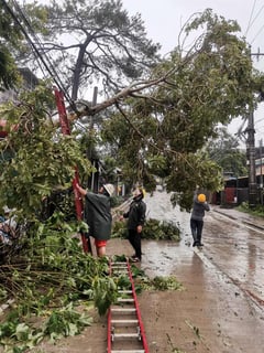 Magalong urges business community to join Baguio’s post-#UwanPH cleanup drive