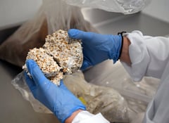 Mushroom material takes on plastic packaging
