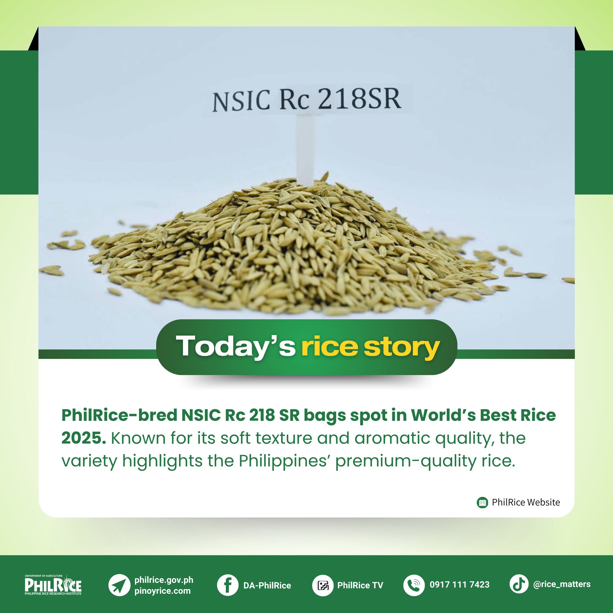 Philippine Dinorado wins second place at World's Best Rice 2025 Awards