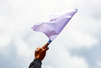 DI, BIFF members wave white flag