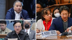 Grand-scale theft pins more senators