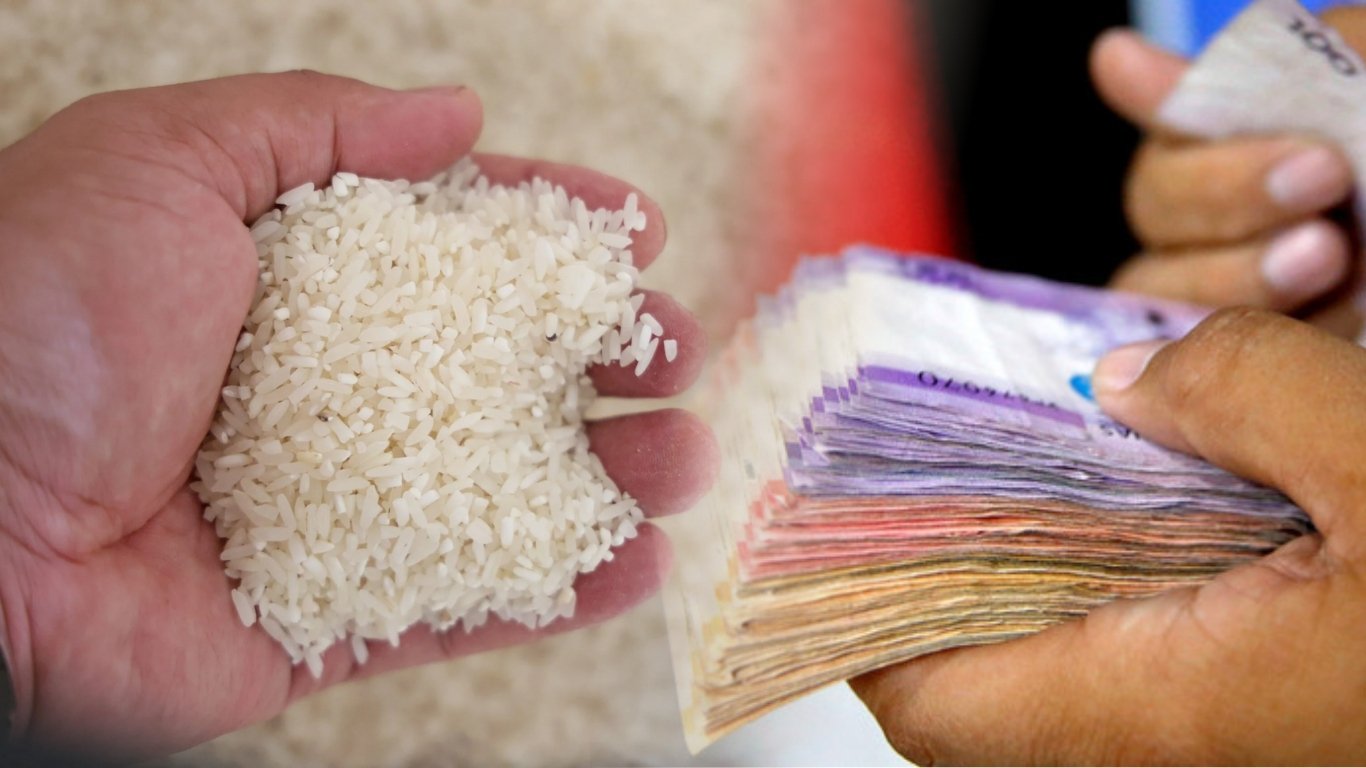 Makati approves cash,rice aid for students