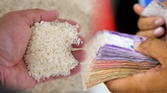Makati approves cash,rice aid for students