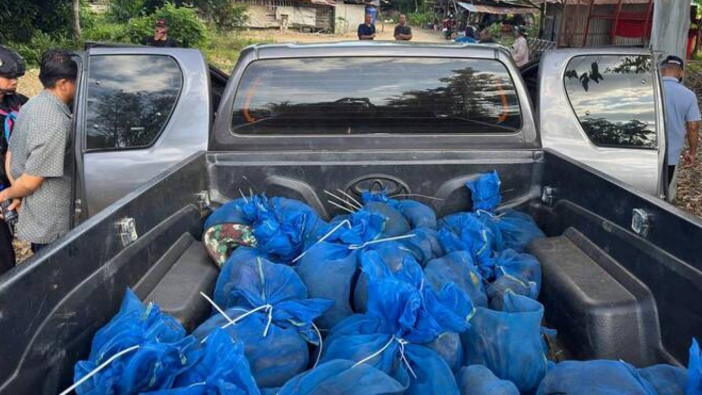 Men moving 81 macaques, meth arrested 