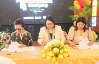 NACC, Eastern Visayas LGUs partner on child care programs