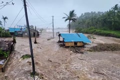 Agriculture sector reels from P4-B storm damage