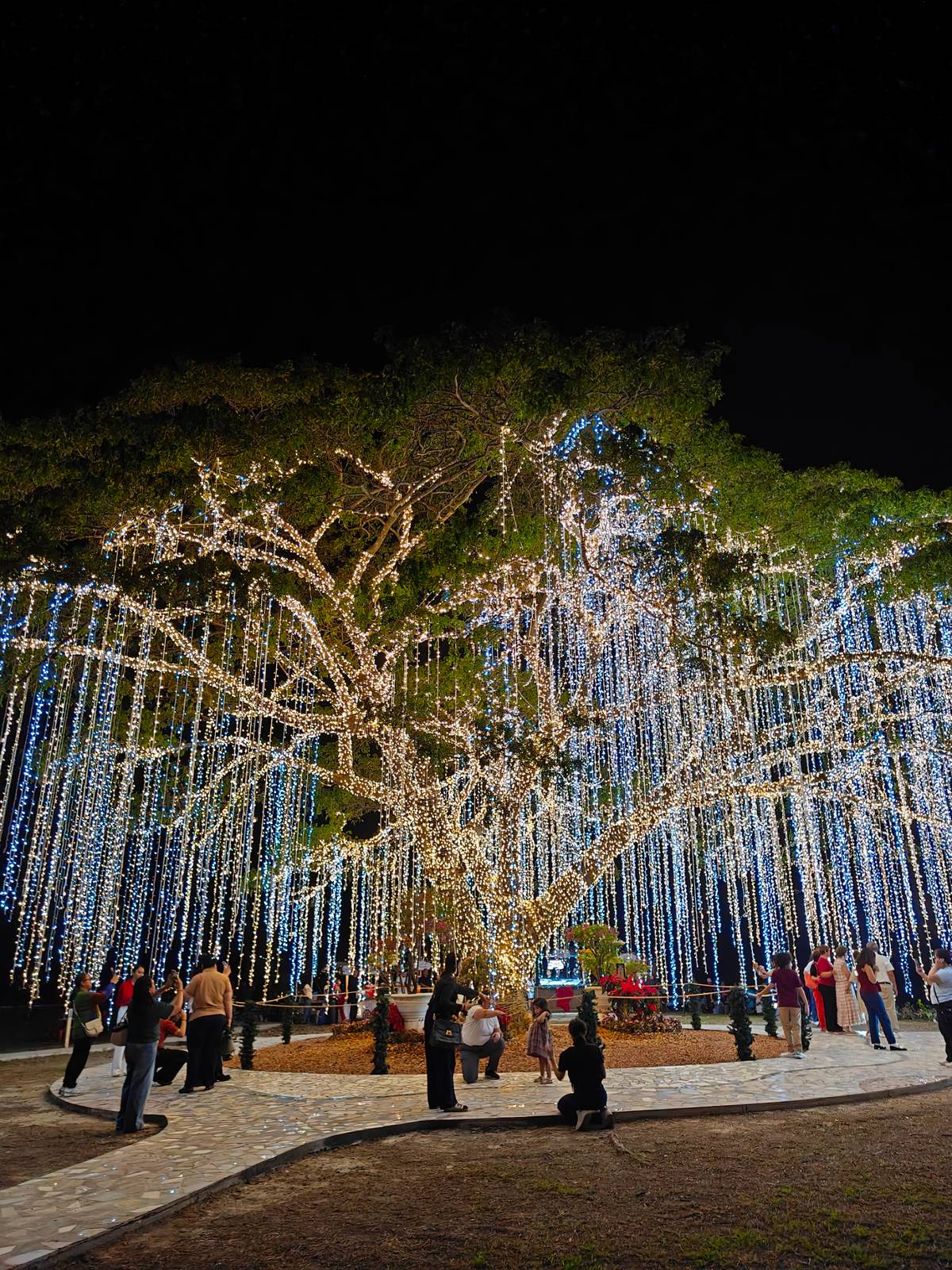 Visitors can stroll the heritage tree nature park, taking in open spaces and greenery.