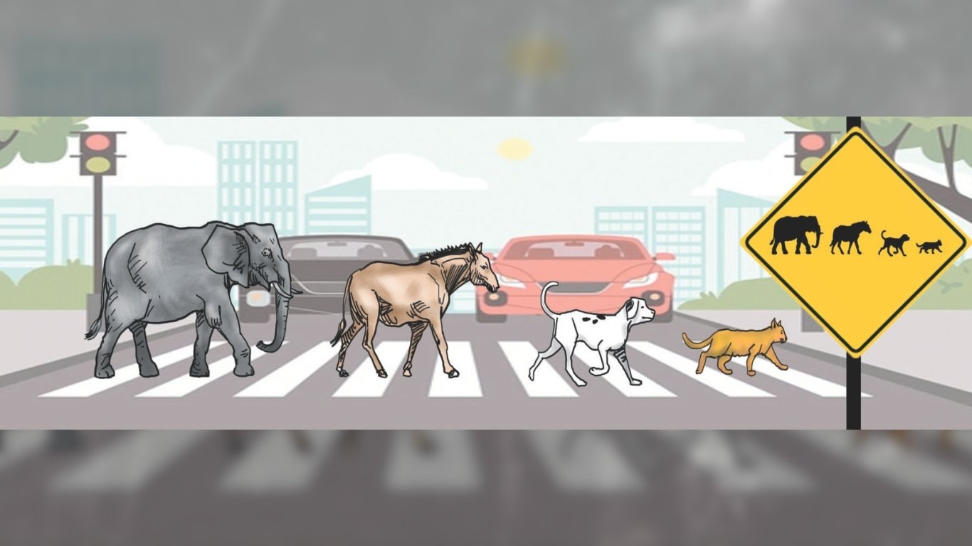 Animals  crossing – slow down