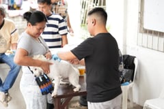 Tarlac conducts large-scale anti-rabies drive
