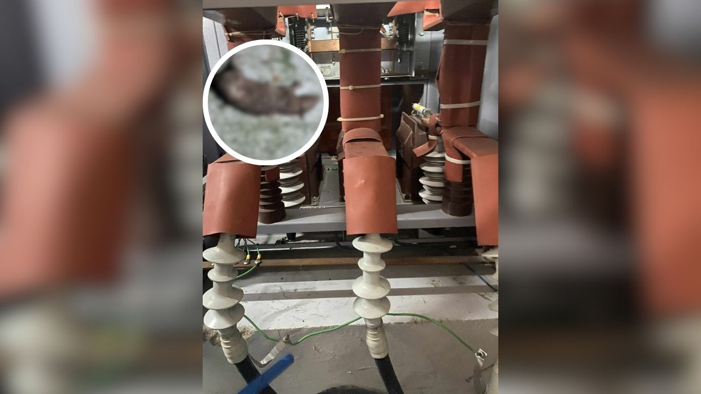Rodents knock out power at the Iloilo Capitol