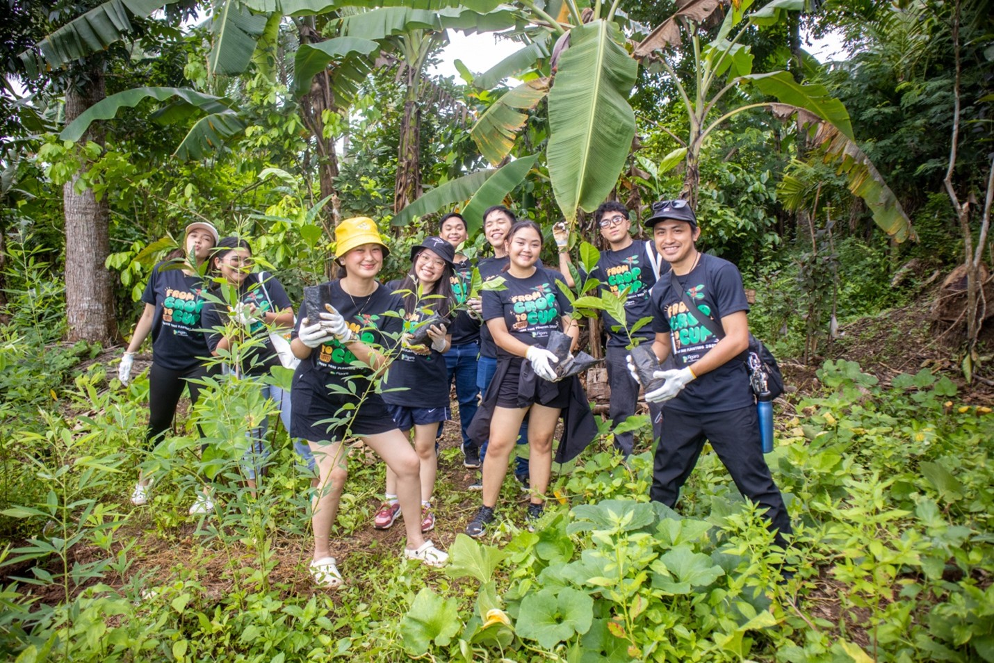 Figaro Foundation plants 1,000 coffee trees to revive Batangas’ coffee heritage