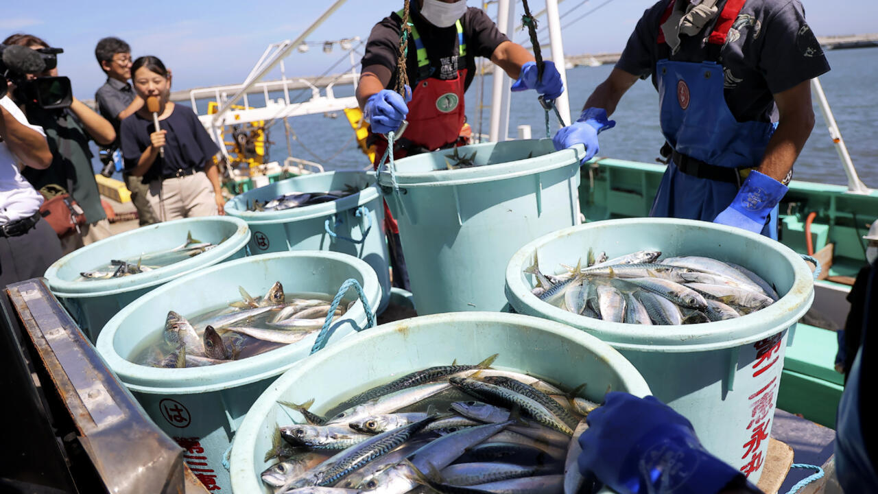 China halting Japan seafood imports amid Taiwan spat