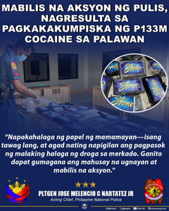 P133M suspected cocaine washes ashore in Palawan; PNP hails tipster