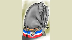 Mobsters run Senate