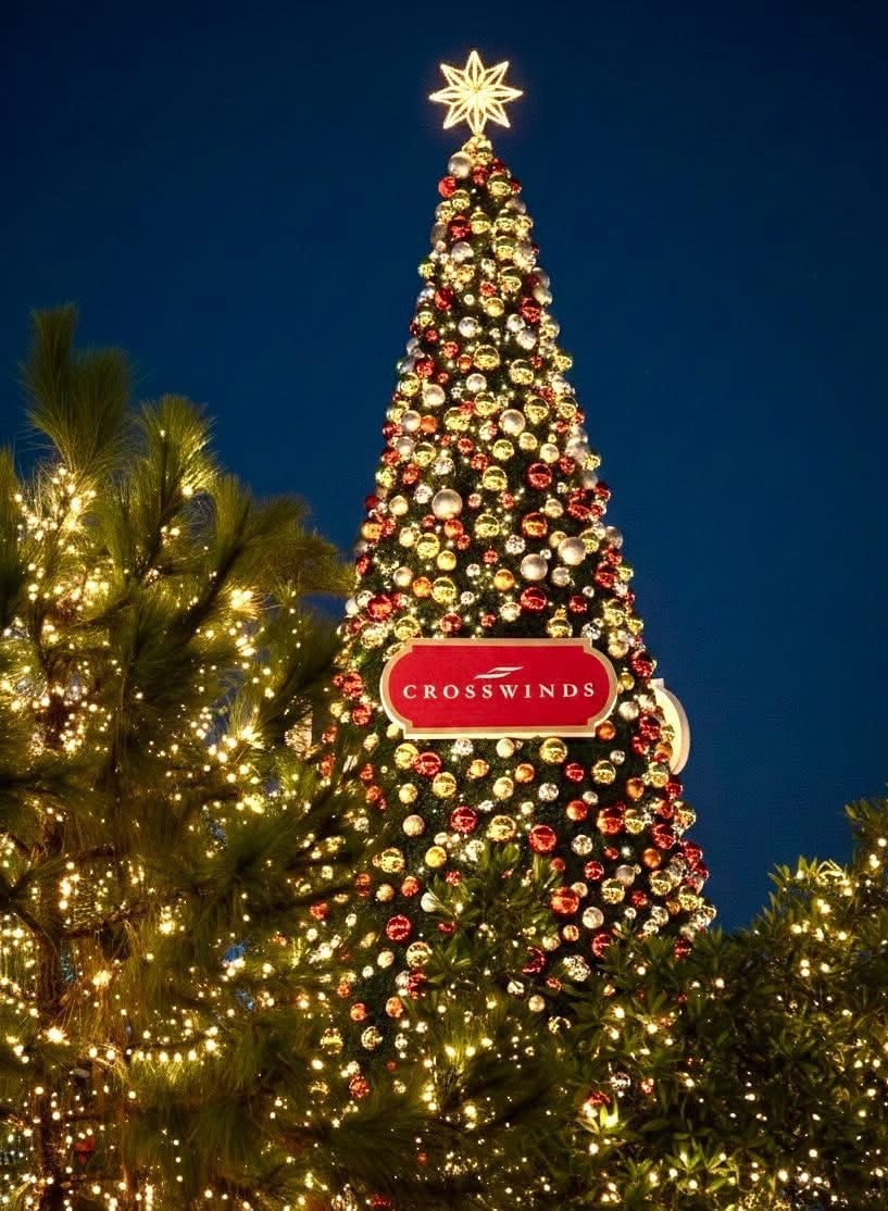 Trail of lights.