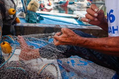 World Fisheries Day 2025