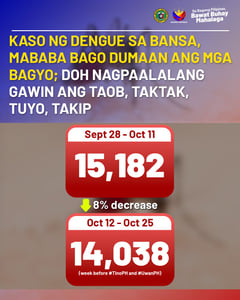 DOH reports 8 percent drop in dengue cases, urges vigilance