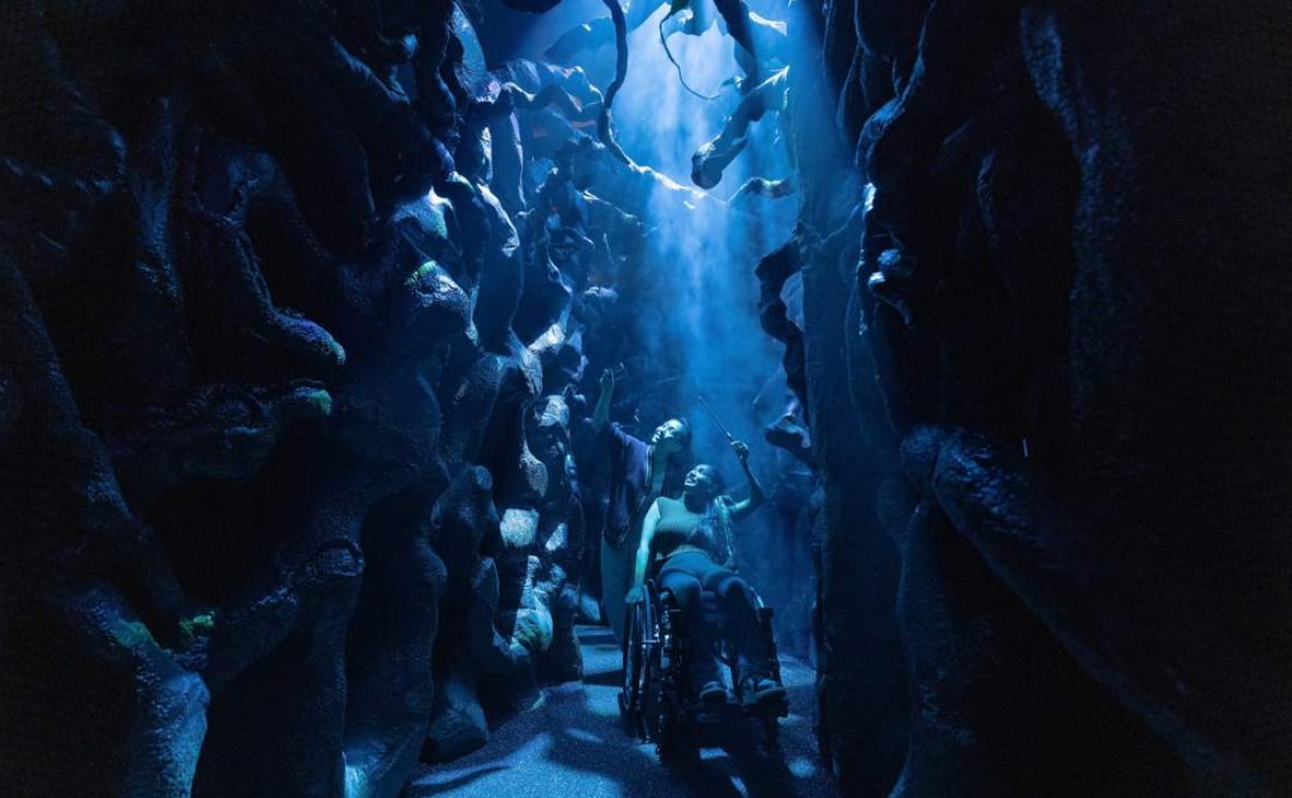 INSIDE the Trap Door.