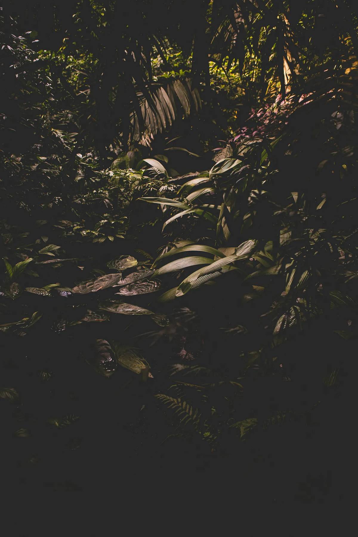 Matt Boyle on Unsplash