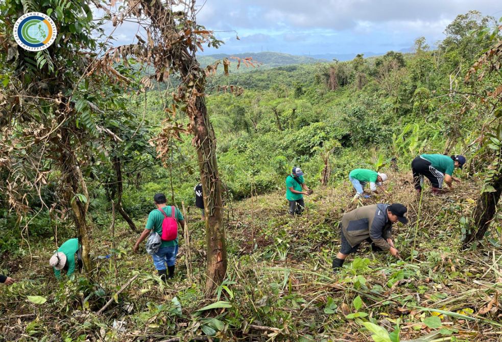 Tree planting at Climate 
Consciousness Week 