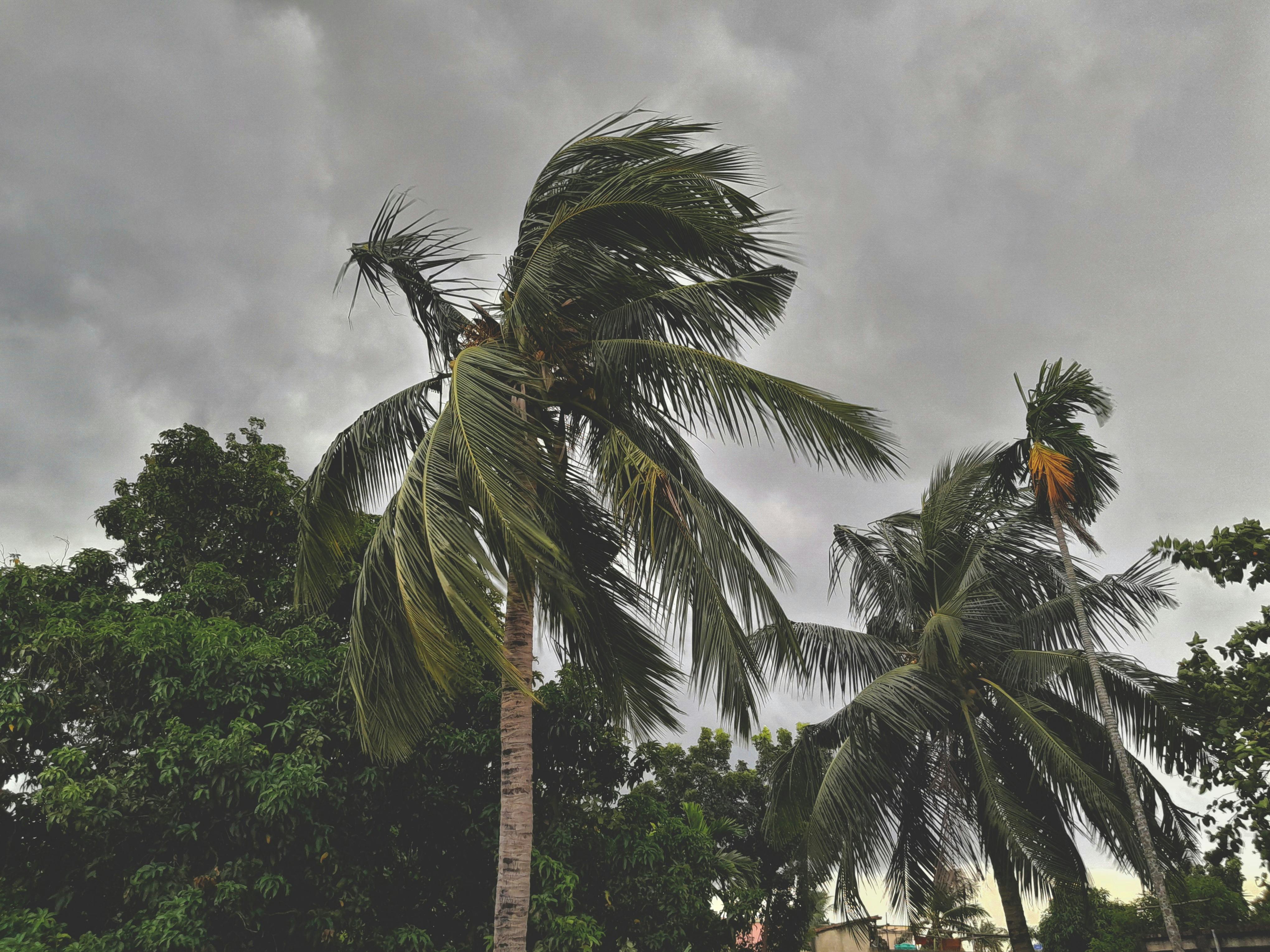 Northern Australia cleans up after cyclone