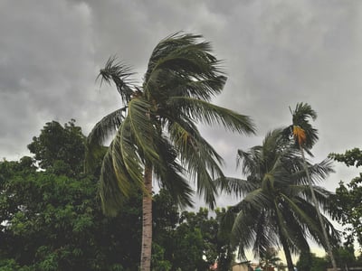 Northern Australia cleans up after cyclone