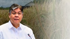 Pangilinan seeks full Sagip Saka execution