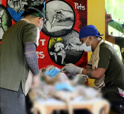 Iloilo’s island villages earn rabies-free seal after tough regional audit