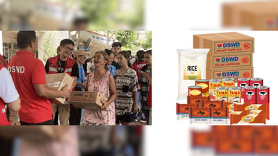 DSWD prepositions 1M food packs ahead of Tropical Depression Verbena