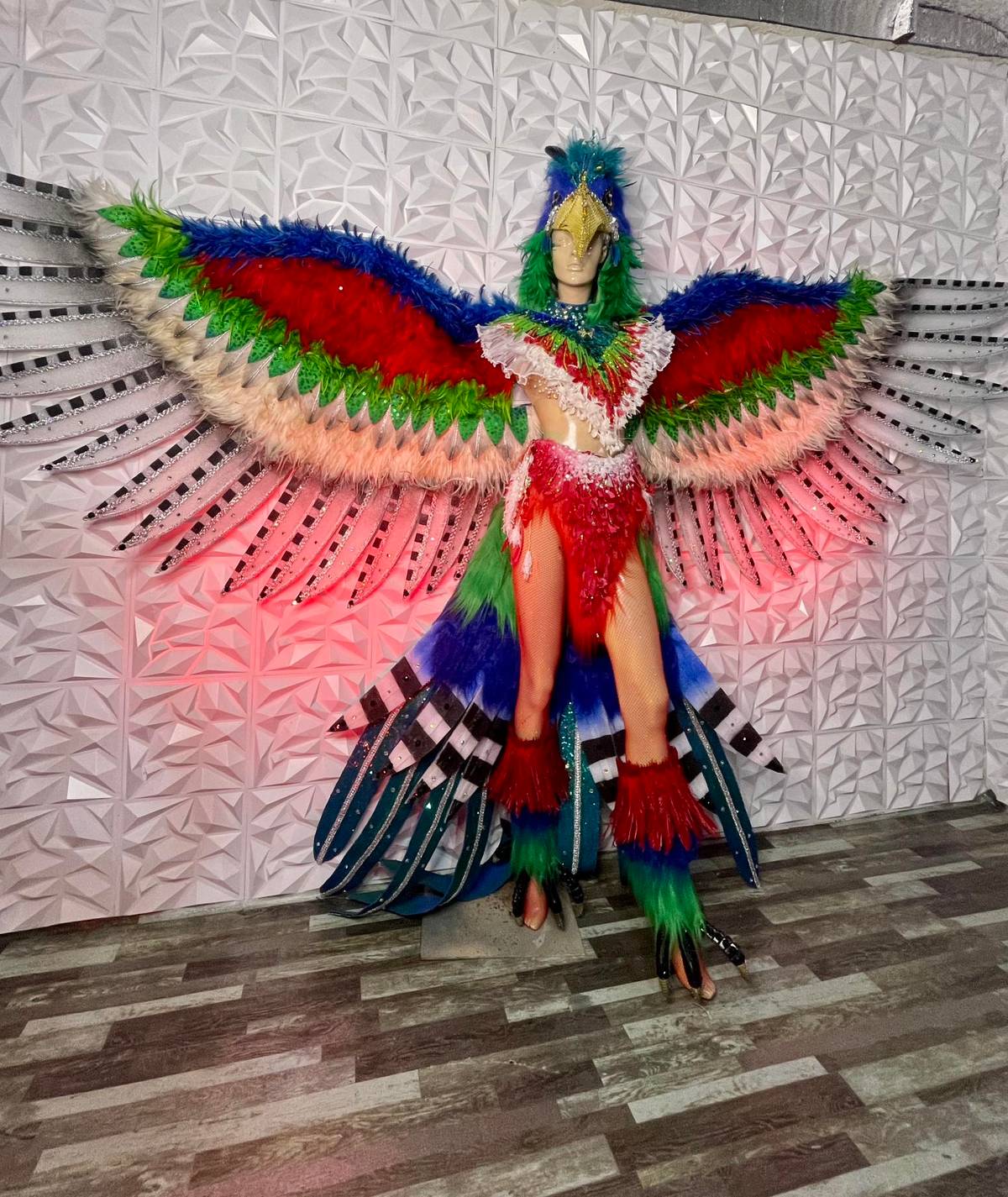 Kennedy Jhon Gasper designed the national costume of Miss Haiti.