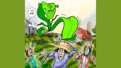 GMO dilemma: Threading ideology—food security balance in a hungry world