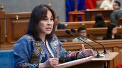 Legarda secures Senate approval for cultural agencies funding