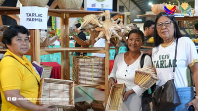 Central Luzon MSMEs target P38M in Metro fair


