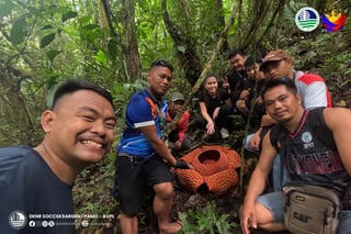 PAMO records blooming Rafflesia in South Cotabato's AVPL