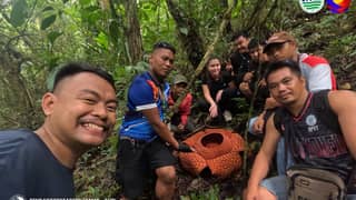 PAMO records blooming Rafflesia in South Cotabato's AVPL