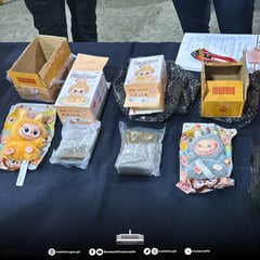 P800K worth of illegal drugs found in Labubu toys