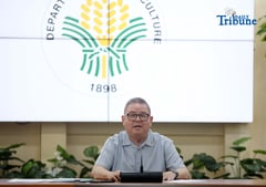 Tiu Laurel faces the press after Co allegations