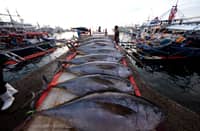 General Santos Fish Port