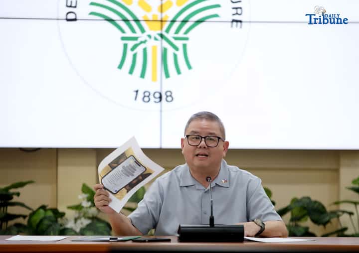 DA invests P300M for climate-smart vegetable farming