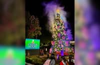 THE Christmas tree at The Mansion House in Baguio City glows as the President’s summer residence marks the holiday season with its annual tree-lighting ceremony on 27 November, drawing visitors to the historic landmark.