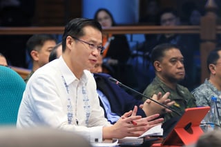 Gatchalian to Imee after 'palpak' remark: Then help