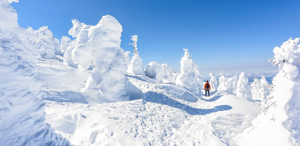 Snow Monsters, or Juhyo (meaning frost-covered trees)—trees covered in snow that look like mystical creatures.