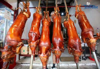 DOH reminds Filipinos: Eat lechon only in small portions