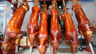 (November 28 2025) Workers arrange their freshly cooked lechon (roasted pigs) at Rix’s lechon in La Loma Quezon City the Lechon Capital of the Philippines on Friday November 28 2025. On Thursday the Quezon City government declared that the 14 lechon stores in La Loma are now free of African Swine Fever (ASF) virus. Photo/Analy Labor