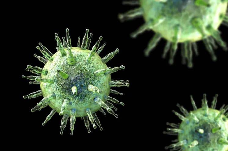 Epstein–Barr virus (EBV) virus.