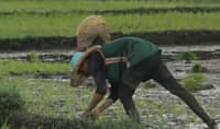 BARMM farmers get P300-M machines