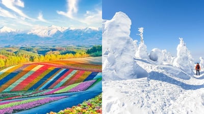 Beyond Tokyo: Discover Hokkaido and Tohoku in every season
